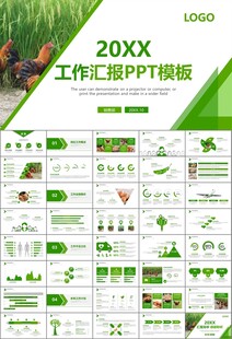 绿色生态农家鸡舍家禽养殖PPT