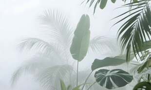 雾气磨砂膜效果绿植贴图