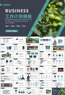 精美核桃种植产业总结计划ppt