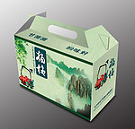 杨梅包装平面图