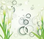 3D马蹄莲百合花圆环背景