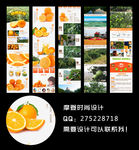 赣南脐橙情页