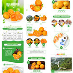 淘宝天猫柑桔橘橙通用水果详情页