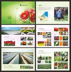 农场花卉有机疏果画册