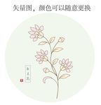 玉兰花