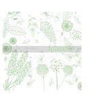 叶子 树叶 花叶 春天 热带