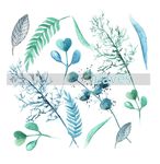 叶子 树叶 花叶 春天 热带