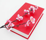 梅花与书 岁月静好