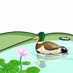鸭子插画