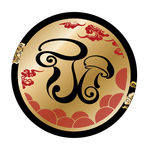 蘑菇菌类牛肝菌标签黑金圆形