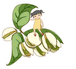 手绘坚果卡通插画开心果矢量元素