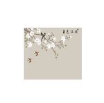 春色满园 玉兰花