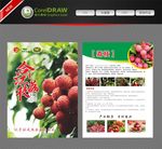 荔枝传单