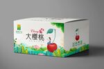 樱桃礼盒设计平面图