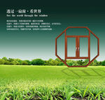 透过一扇窗看世界