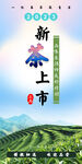 新茶2023 上市 清明前