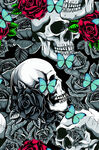 骷髅玫瑰蝴蝶图
