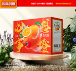 橙子包装 沃柑礼盒