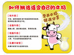 如何挑选合适牛奶小贴士