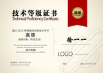 技术等级证书模板展示