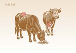 牛素描插画