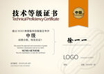 技术等级证书