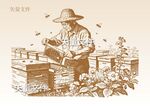 手绘蜂农素描 取蜜插画