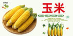 玉米