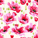 粉色罂粟花卉图案背景