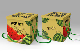 西瓜包装