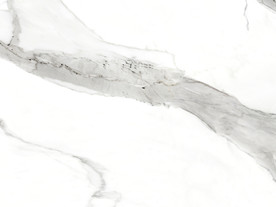 新品新天然鱼肚白 tif合层