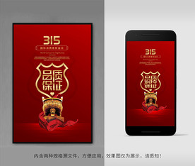 315海报