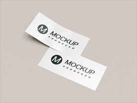 海报宣传插画展示样机