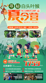 白头叶猴暑期夏令营海报模板