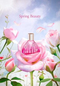 玫瑰花香水海报