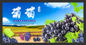 葡萄海报