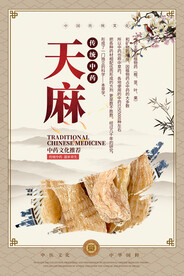 天麻中药海报