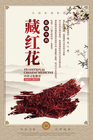 藏红花中药海报