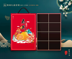 耙耙柑包装 水果礼盒