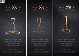 高端黑金地产入市开放开盘倒计时