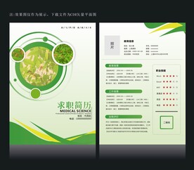 绿色简历