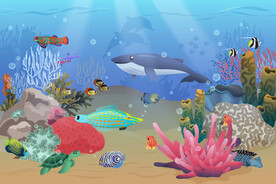 梦幻海底世界卡通鲸鱼珊瑚背景墙