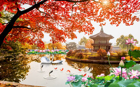 枫树荷塘风景电视背景墙