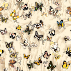 数码印花  蝴蝶