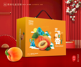 杏礼盒 黄杏包装