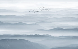 中式前台水墨画背景墙