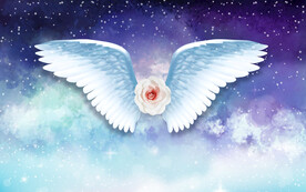 星空翅膀背景墙