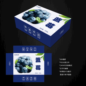  蓝莓包装
