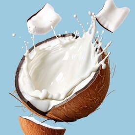 椰子奶花飞溅分层图