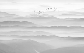 新中式餐厅群山水墨画墙画